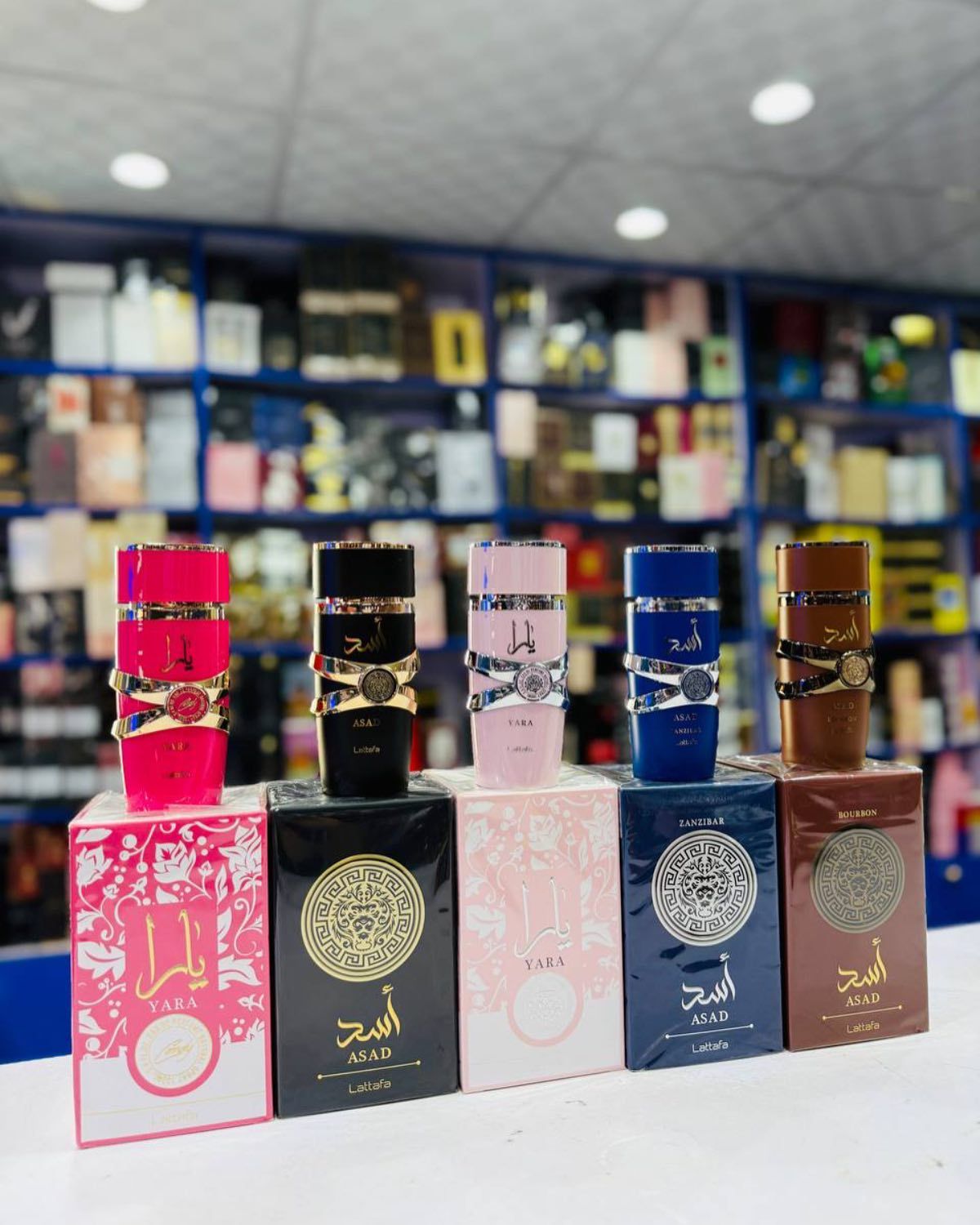 Lattafa Yara & Asad Perfume Collection